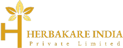 logo icon